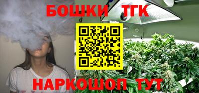 Альфа ПВП Будённовск