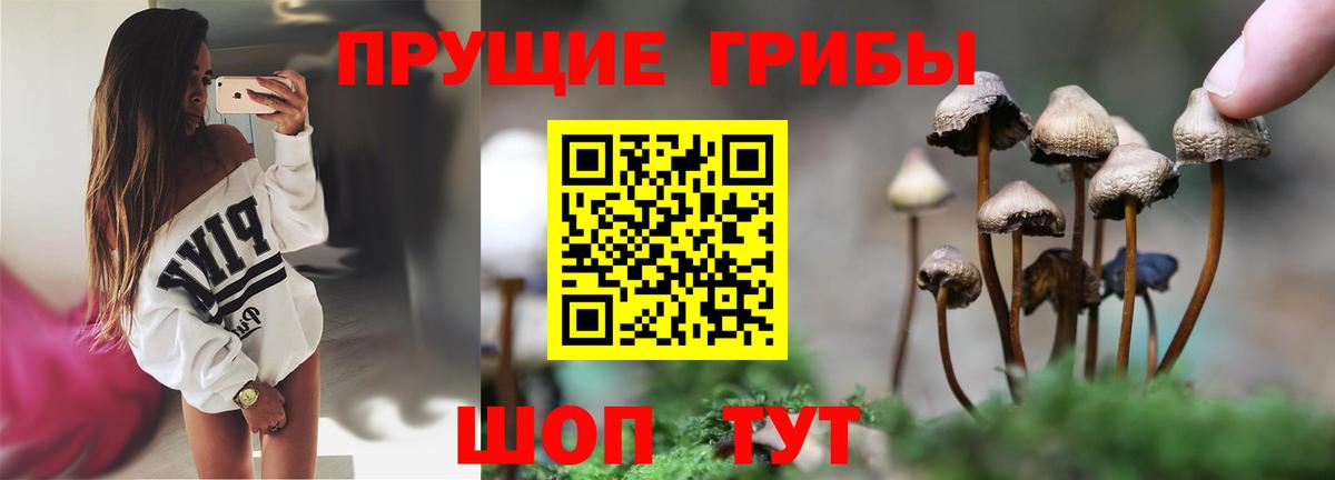 Павловский Посад  Псилоцибиновые грибы Magic Shrooms  Вход с VPN 